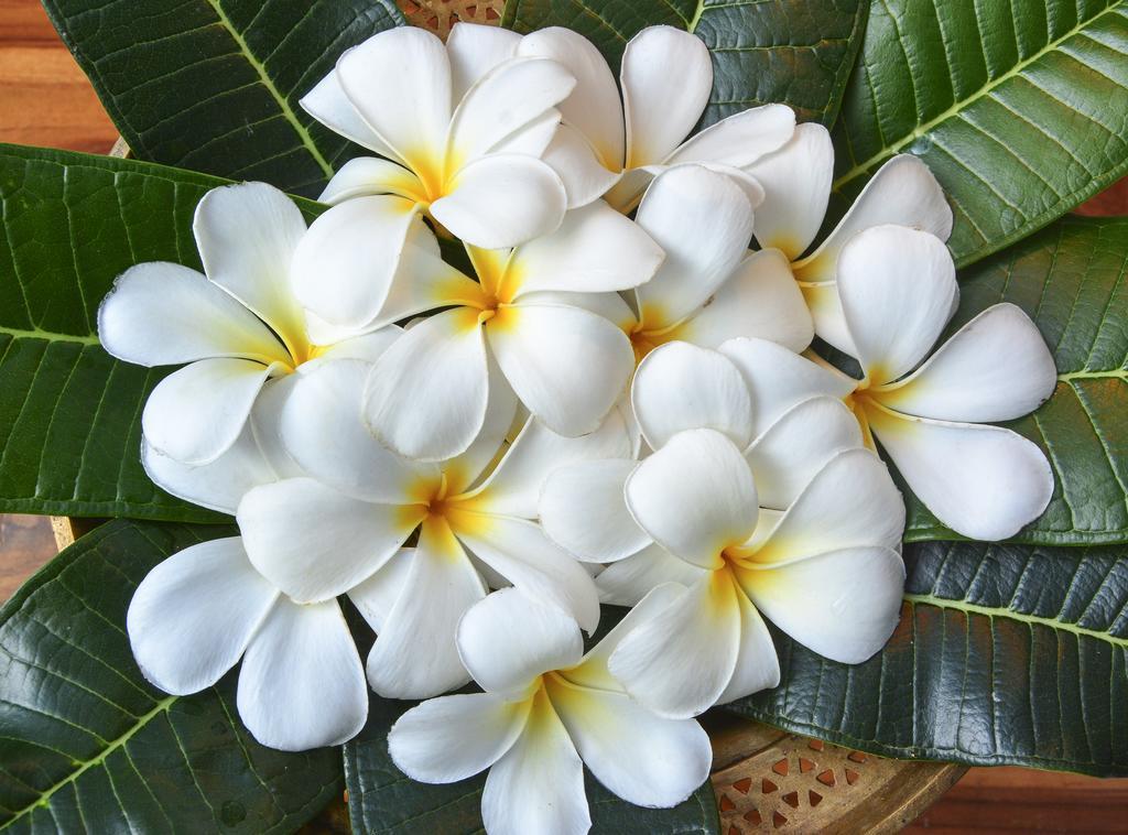 Golden Lodge Tangalle Dış mekan fotoğraf